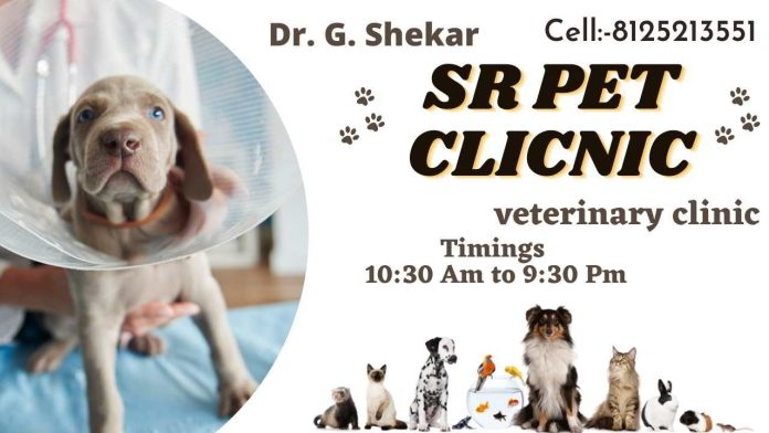 SR Pet Clinic And Pet Store in Hastinapuram