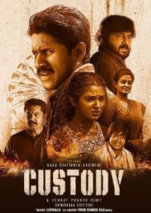 Custody Movie on Amazon Prime