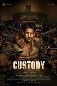 Custody Movie online