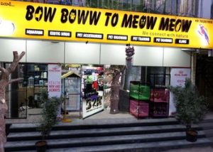 Bow Boww to Meow Meow in Kukatpally